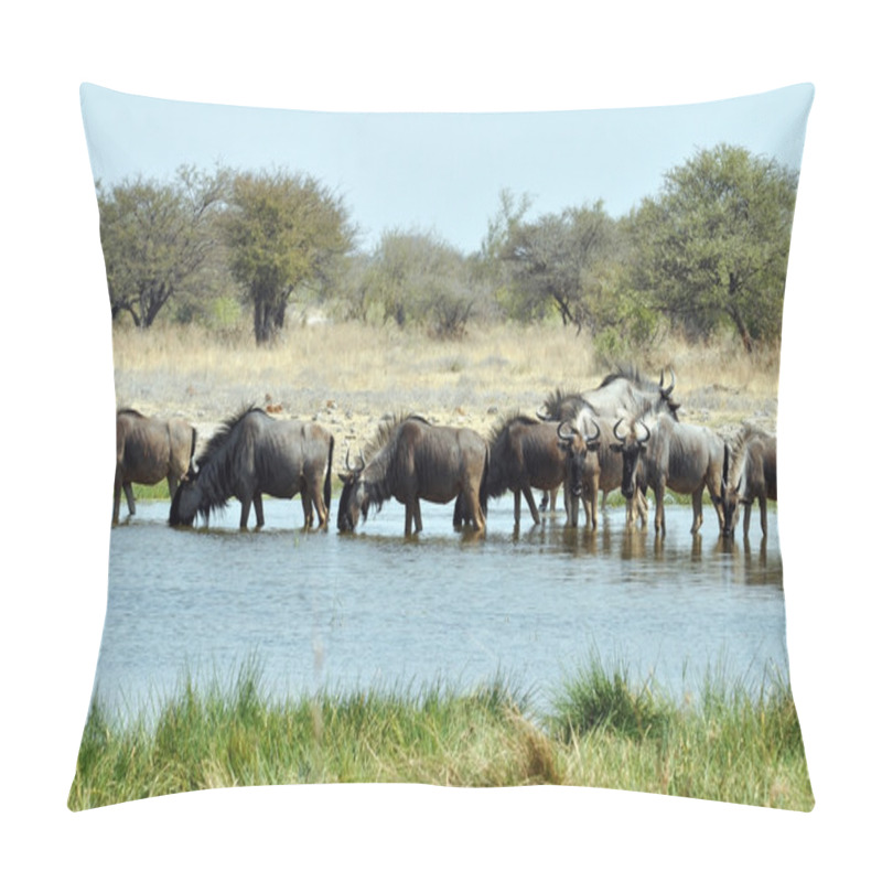 Personality  Blue Wildebeest (Connochaetes Taurinus) Pillow Covers