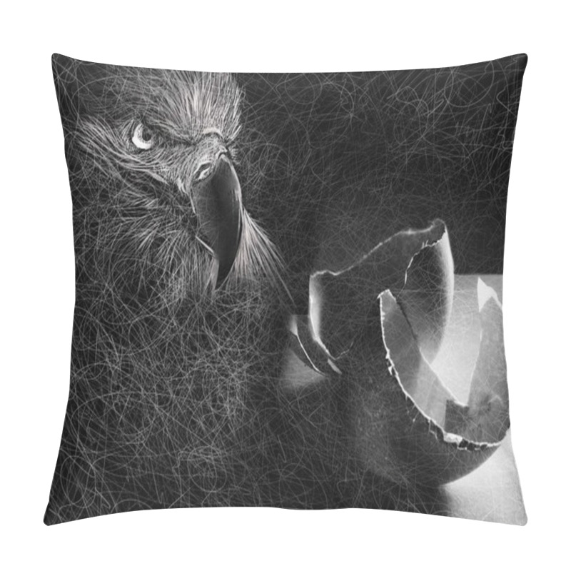 Personality  Grayscale Shot Of A Depiction Of A Figure Of A Hawk And Eggshells - Perfect For A Wallpaper Pillow Covers