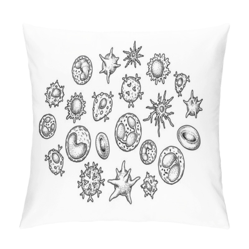 Personality  Blood Cells Isolated On White Background. Scientific Microbiology Vector Illustration In Sketch Style Pillow Covers