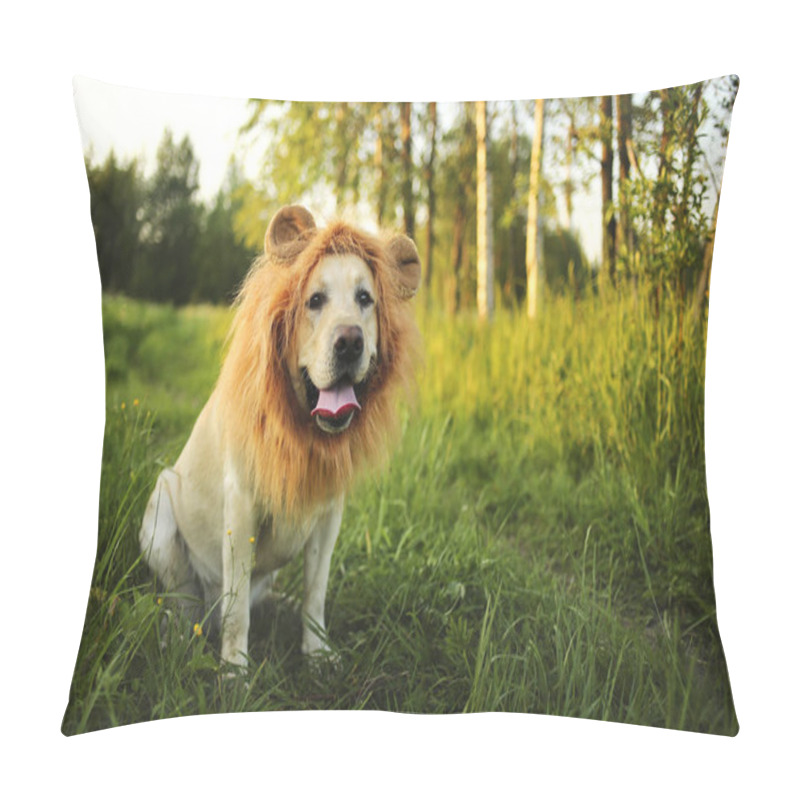 Personality  Funny Big Dog With Fake Lions Mane At Green Field Pillow Covers