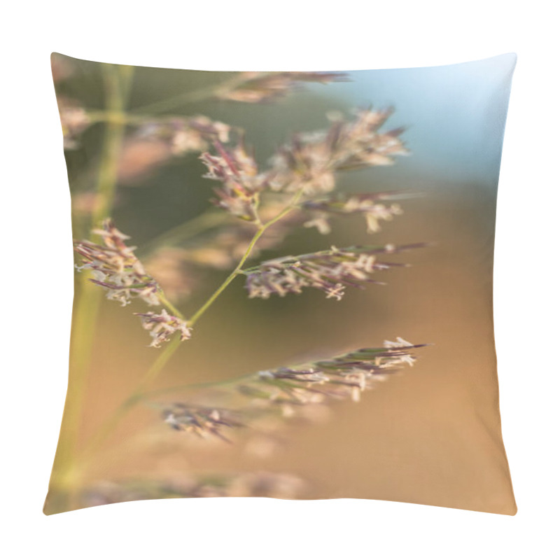 Personality  Macro Photograph Showcasing The Detailed View Of A Foxtail Plant From The Setaria Genus, Highlighting The Intricate Features Of This Grass Family Specimen Pillow Covers