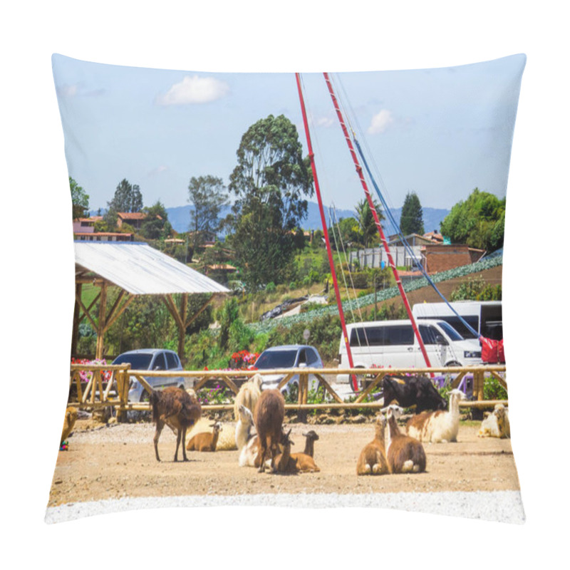 Personality  Llamas Near Guatape, Colombia Pillow Covers