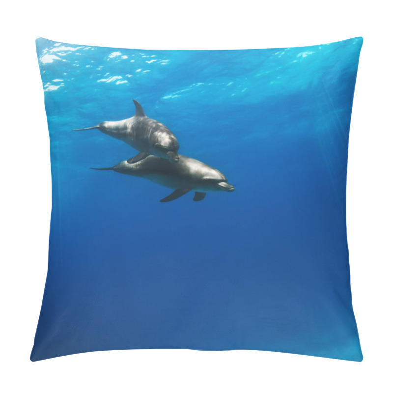 Personality  Two Funny Nice Dolphins Underwater Pillow Covers