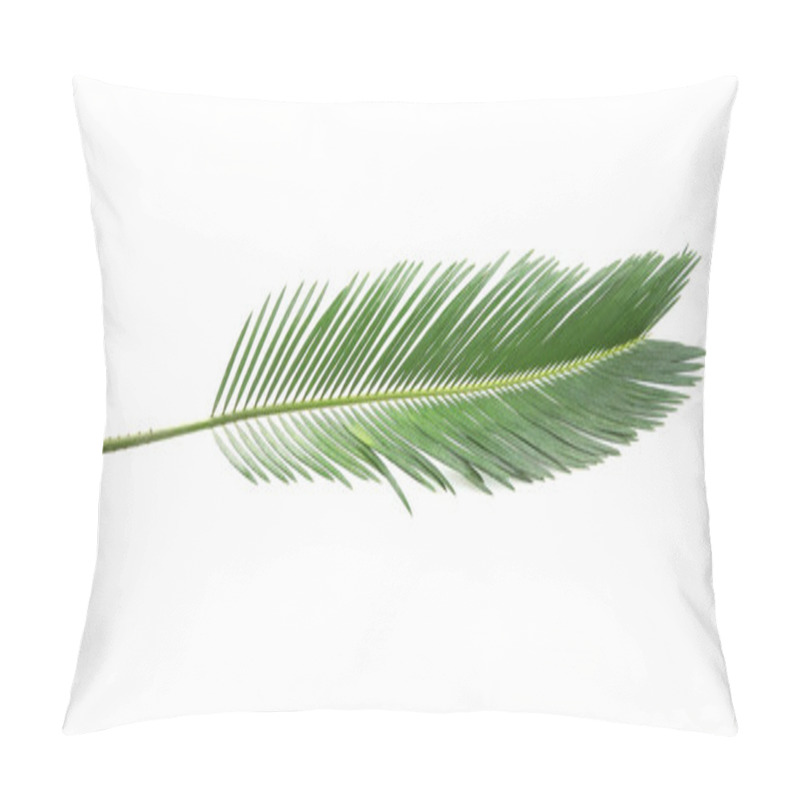 Personality  Beautiful Tropical Sago Palm Leaf On White Background Pillow Covers