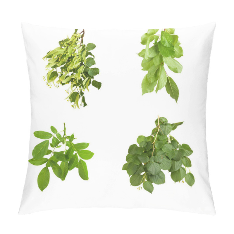 Personality  Branch With Green Leaves Isolated On White Background  Pillow Covers