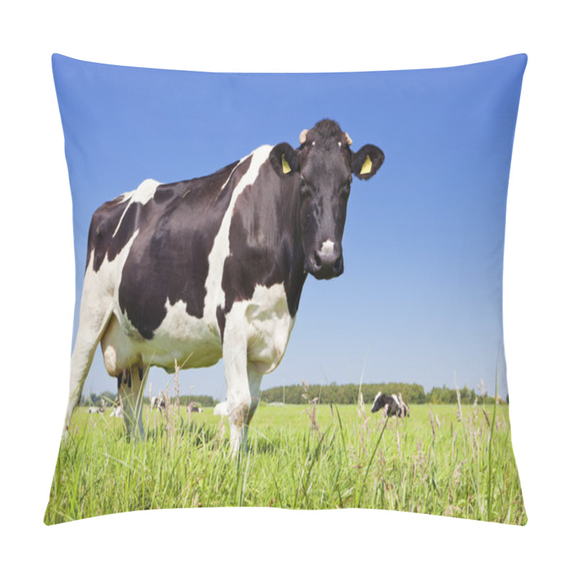 Personality  Cow In A Fresh Grassy Field On A Clear Day Pillow Covers