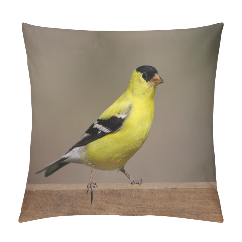 Personality  American Goldfinch (Carduelis Tristis) Pillow Covers