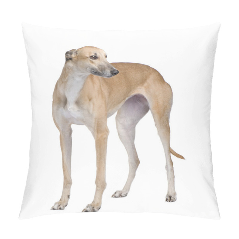 Personality  Greyhound Pillow Covers