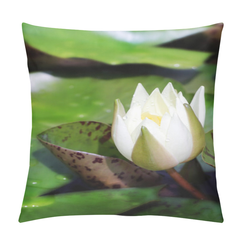 Personality  White Lotus Pillow Covers