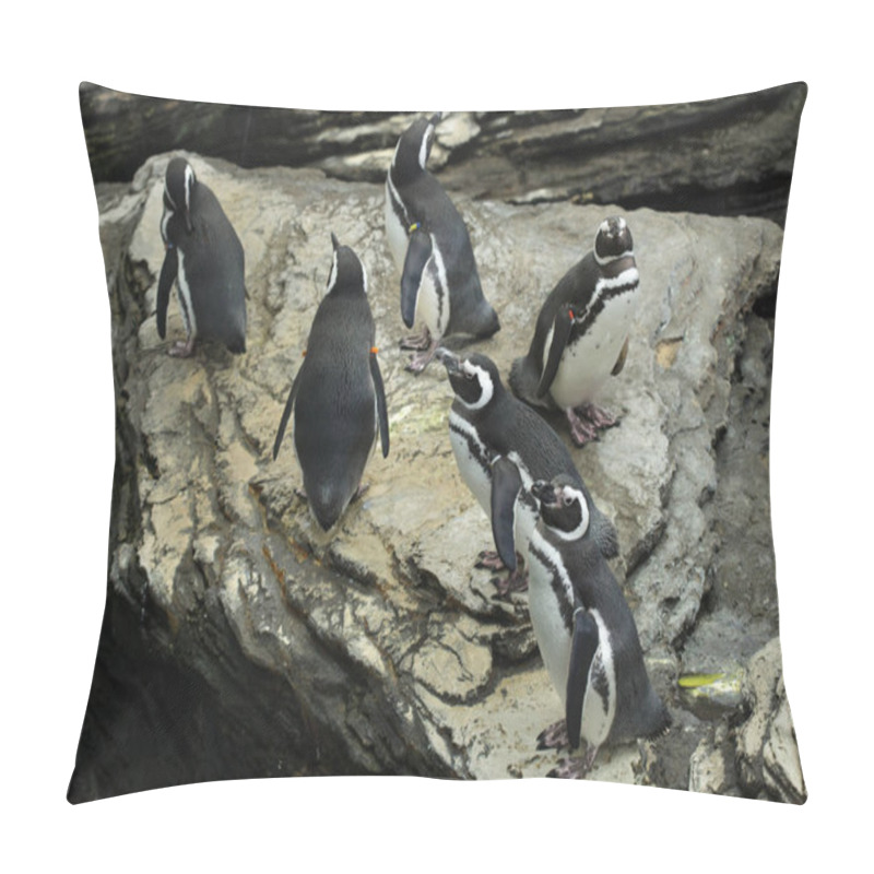 Personality  Magellanic Penguin (Spheniscus Magellanicus).  Pillow Covers