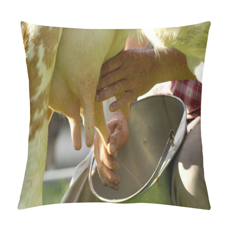 Personality  Farmer With Bucket Hand Milking A Cow On A Dairy Farm Pillow Covers