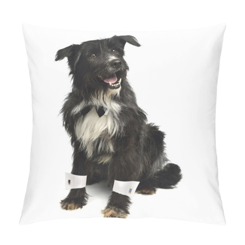 Personality  Gentleman Dog With Bow Tie And White Cuffs Pillow Covers