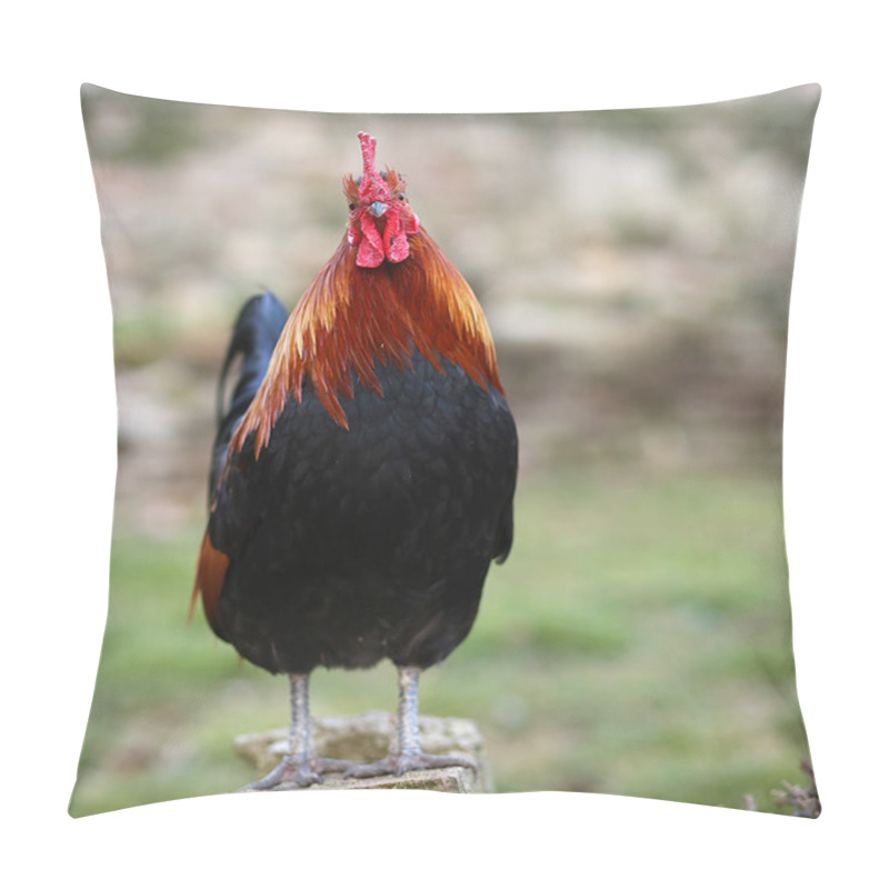 Personality  Big Cock With The Red Crest On Top Of The Stone Pillow Covers