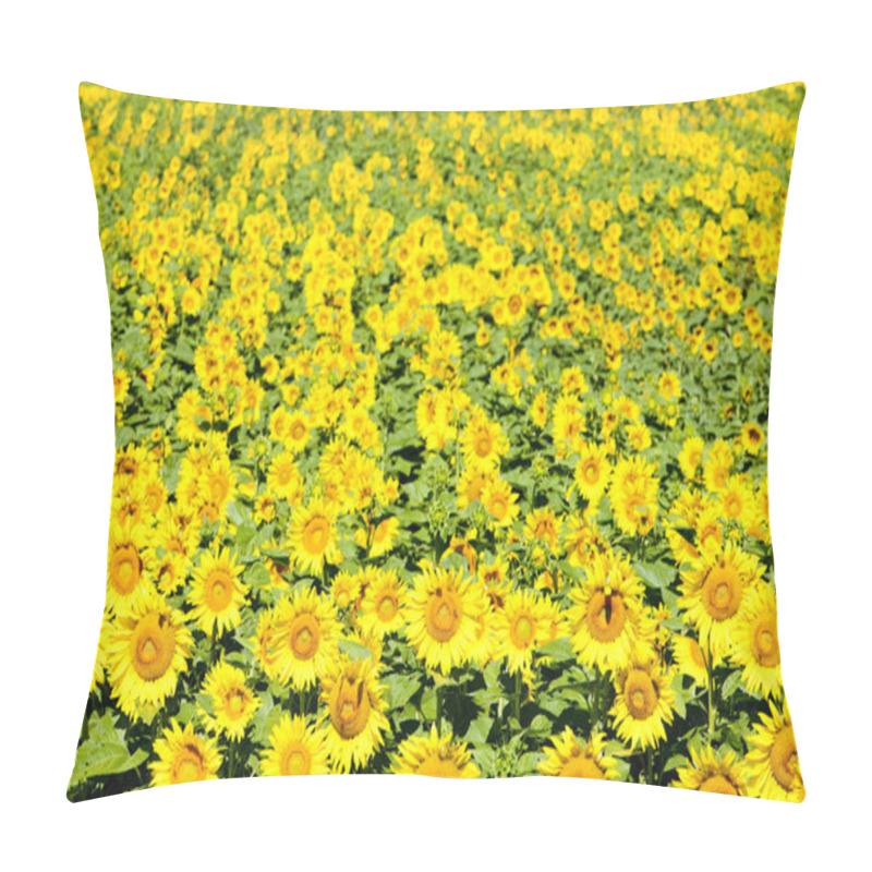 Personality  Sunflower Field Pillow Covers