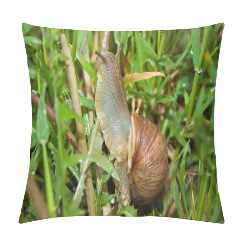 Personality  Snail In The Grass Pillow Covers