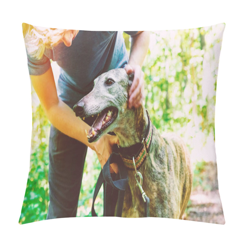 Personality  Man With His Greyhound In The Woods Pillow Covers