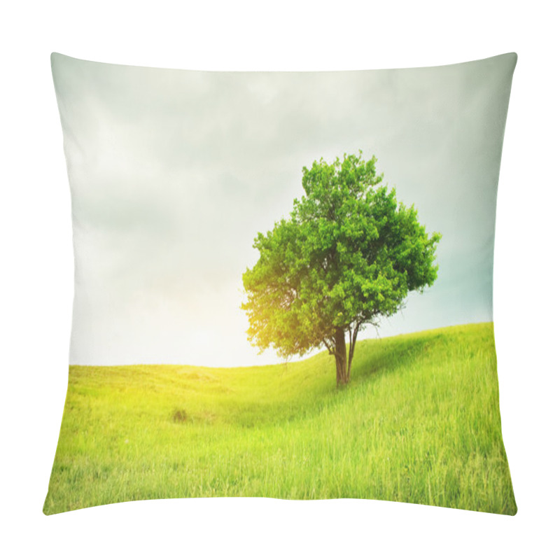 Personality  Beautiful Oak Tree On Green Field Pillow Covers