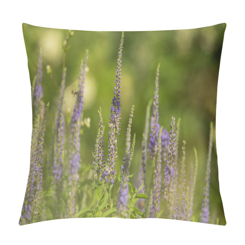 Personality  A Beautiful Garden Speedwells Blossoming In A Summer Meadow. Plenty Of Wild Veronicas. Pillow Covers