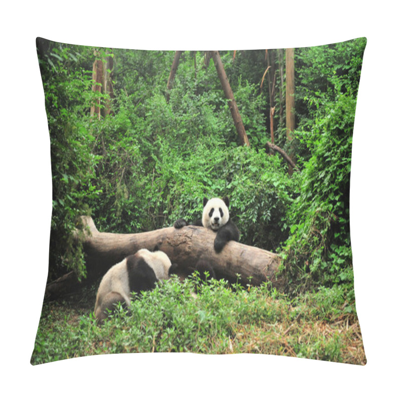 Personality  Panda In Playing Time Pillow Covers