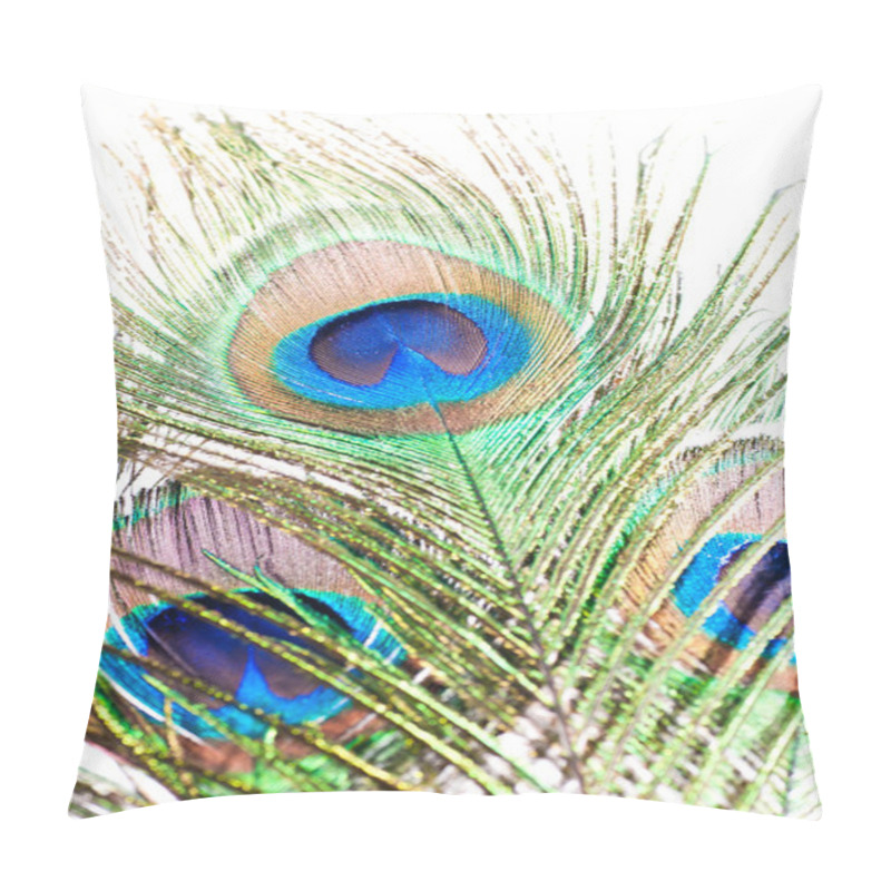 Personality  Peacock Feather On White Pillow Covers