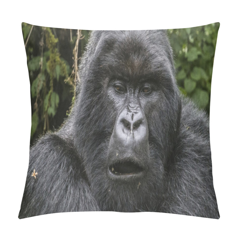 Personality  Gorilla17 Pillow Covers