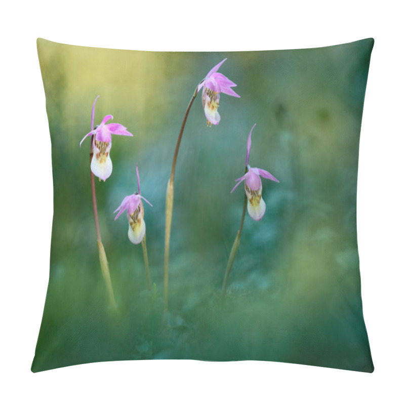 Personality  Beautiful Pink Orchid In Finland Pillow Covers