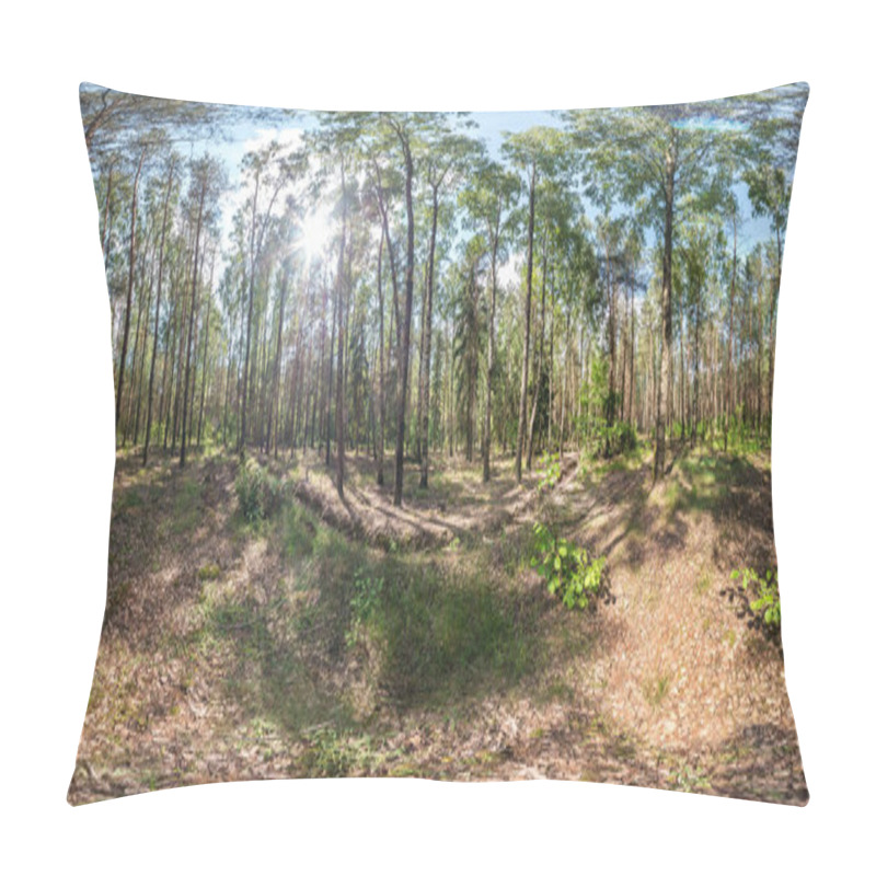 Personality  Full Spherical Hdri Panorama 360 Degrees Angle View In Pinery Forest In Equirectangular Projection. VR AR Content Pillow Covers