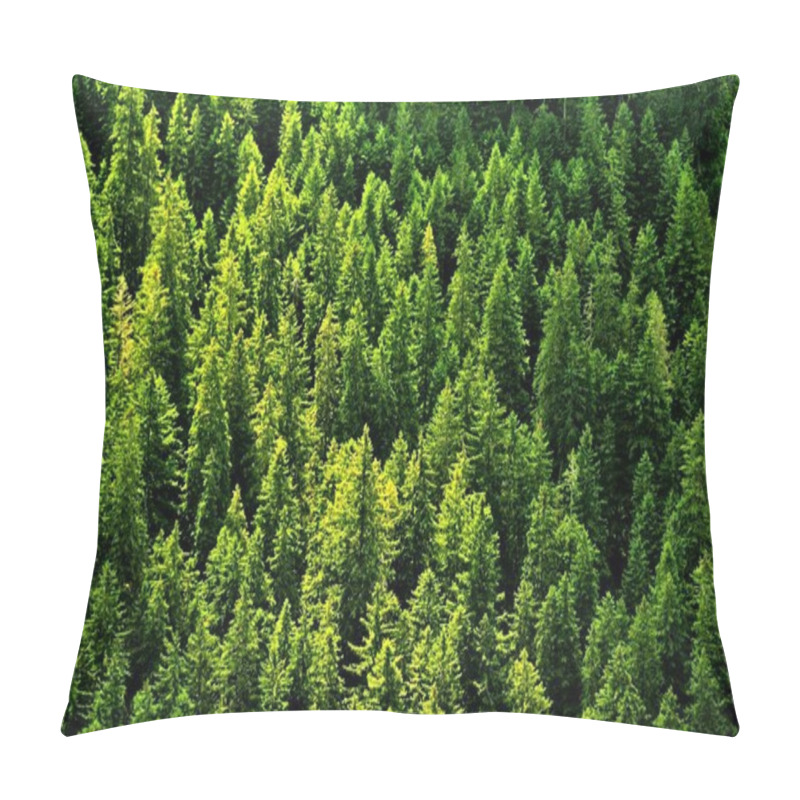 Personality  An Aerial Shot Of Evergreen Fir Trees Under A Sunlight Pillow Covers