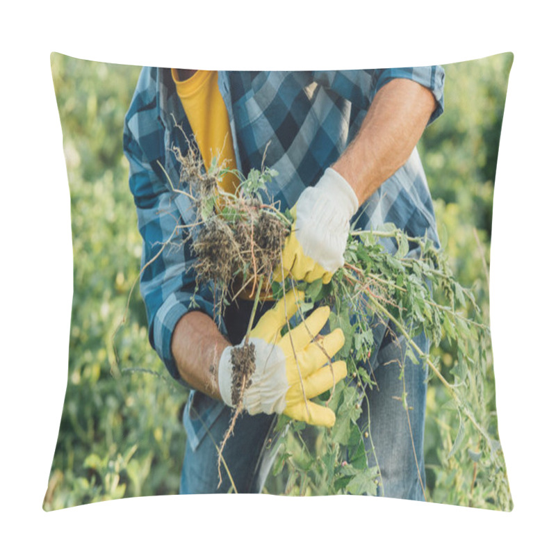 Personality  Cropped View Of Farmer In Plaid Shirt And Gloves Holding Weeds While Working In Field Pillow Covers