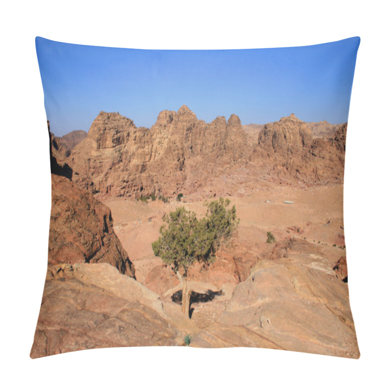 Personality  Petra Landscape And Lonely Tree Pillow Covers