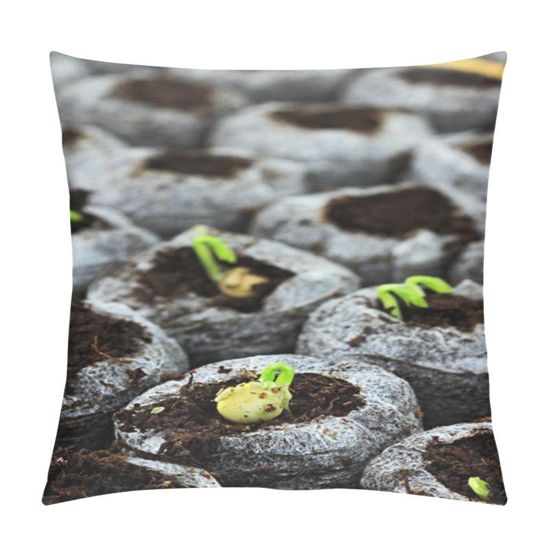 Personality  Seedlings Pillow Covers