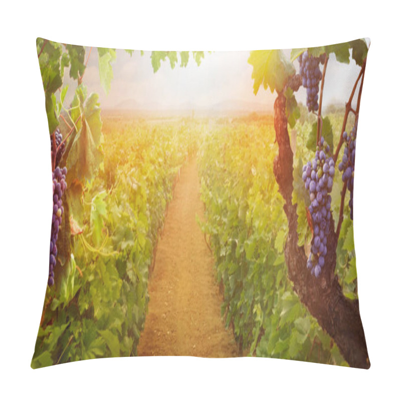 Personality  Vineyard In Autumn Harvest Pillow Covers