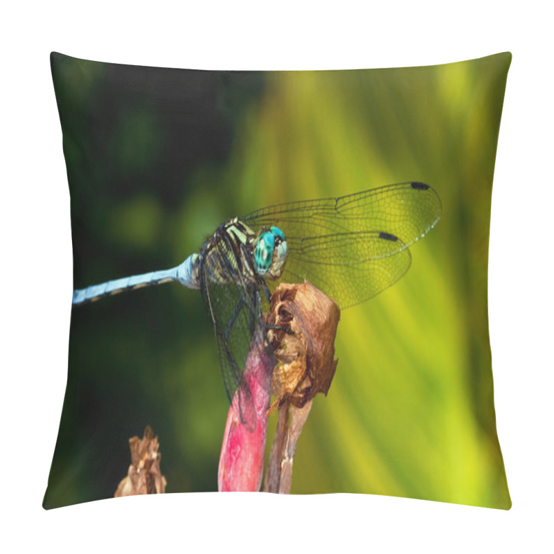 Personality  Blue Dragonfly Pillow Covers