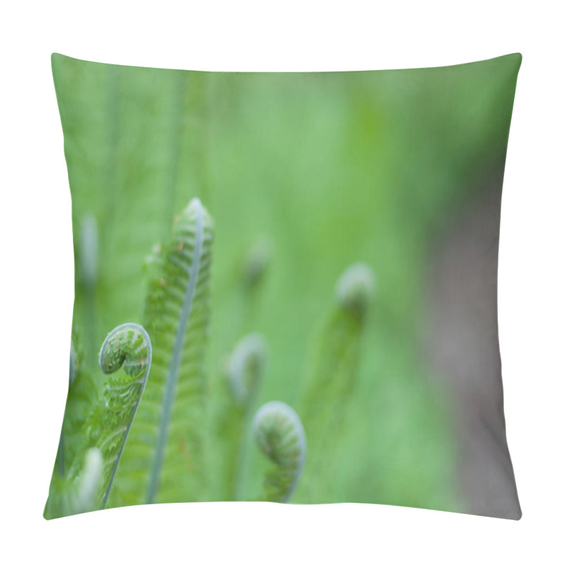 Personality  Young Green Fern  Pillow Covers