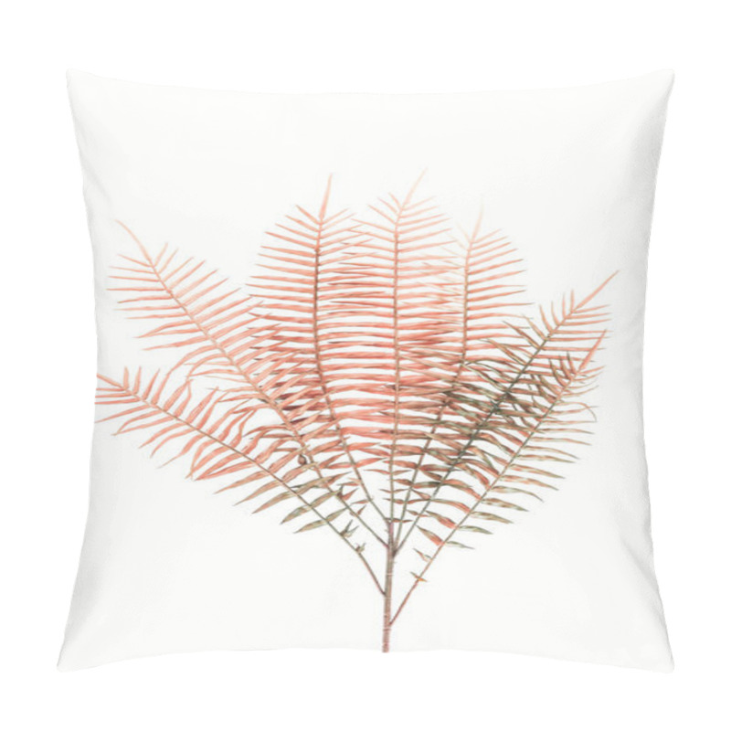 Personality  Flat Lay With Beautiful Red Fern Branches Isolated On White, Minimalistic Concept Pillow Covers