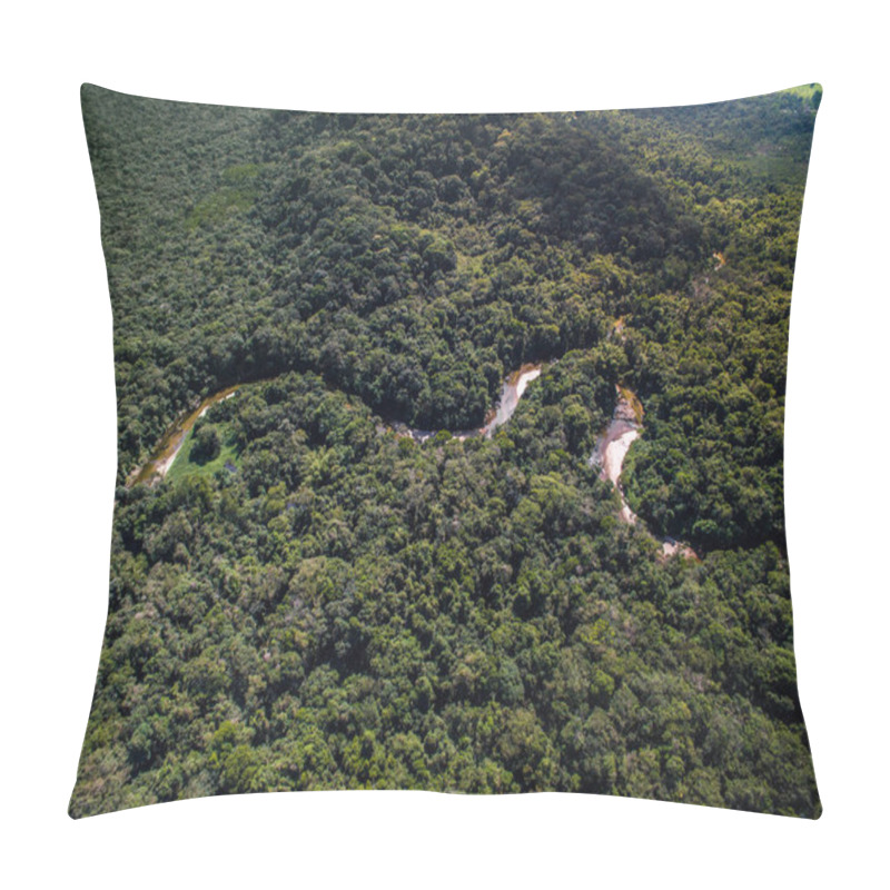 Personality  Top View Of River In Rainforest, Brazil Pillow Covers