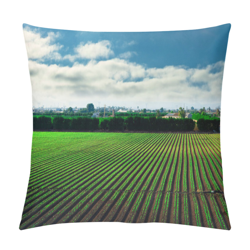 Personality  Agricultural Field And Blue Sky Pillow Covers