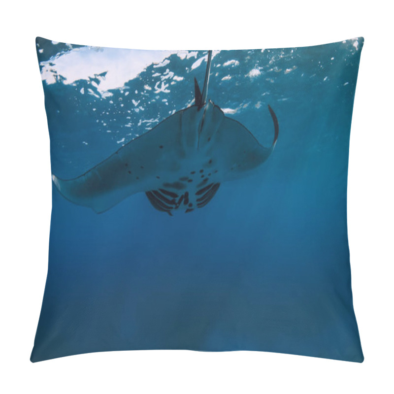 Personality  Manta Ray Fish Glides In Ocean. Snorkeling With Giant Fish In Blue Ocean Pillow Covers