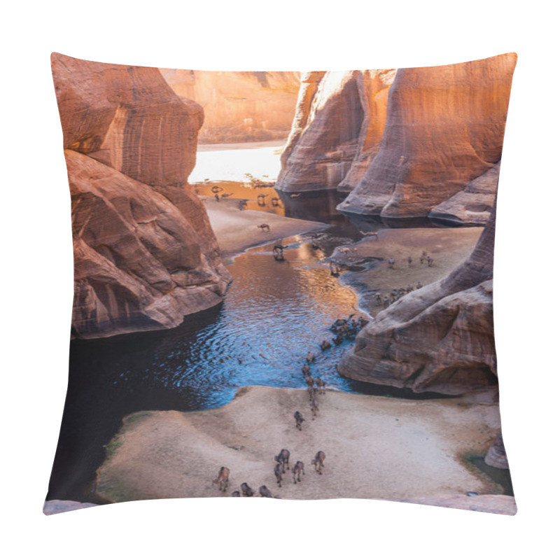 Personality  Guelta D'Archei Waterhole Near Oasis, Camels Dringing The Woater, Ennedi Plateau, Chad, Africa Pillow Covers