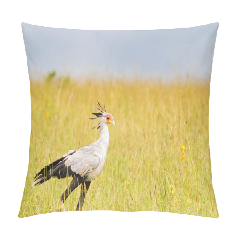 Personality  Secretarybird Bird With Black Crest On Head, Long Pink Legs And Black Skirt Waling In Open Grassland At Serengeti National Park In Tanzania, East Africa Pillow Covers