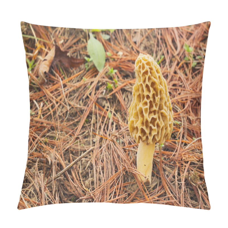 Personality  Morel Mushroom And Pine Needles Pillow Covers