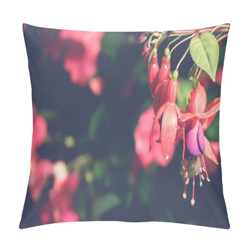 Personality  Beautiful Blooming Orchids In Forest Pillow Covers