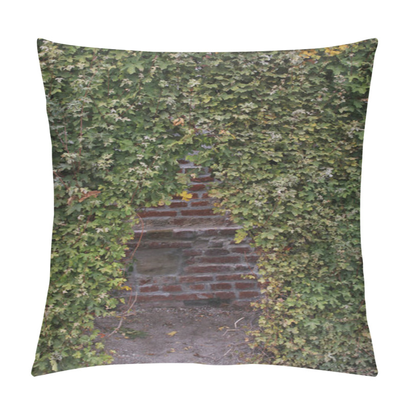 Personality  Wall Covered With Plants Pillow Covers