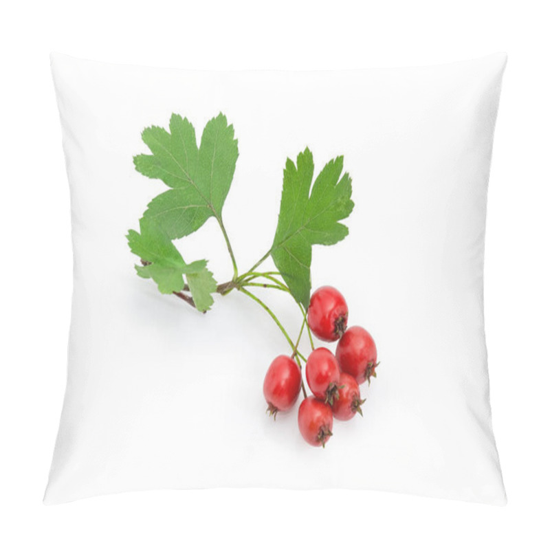 Personality  Ripe Red Fruits Of The Hawthorn On Small Branch On A White Background Pillow Covers