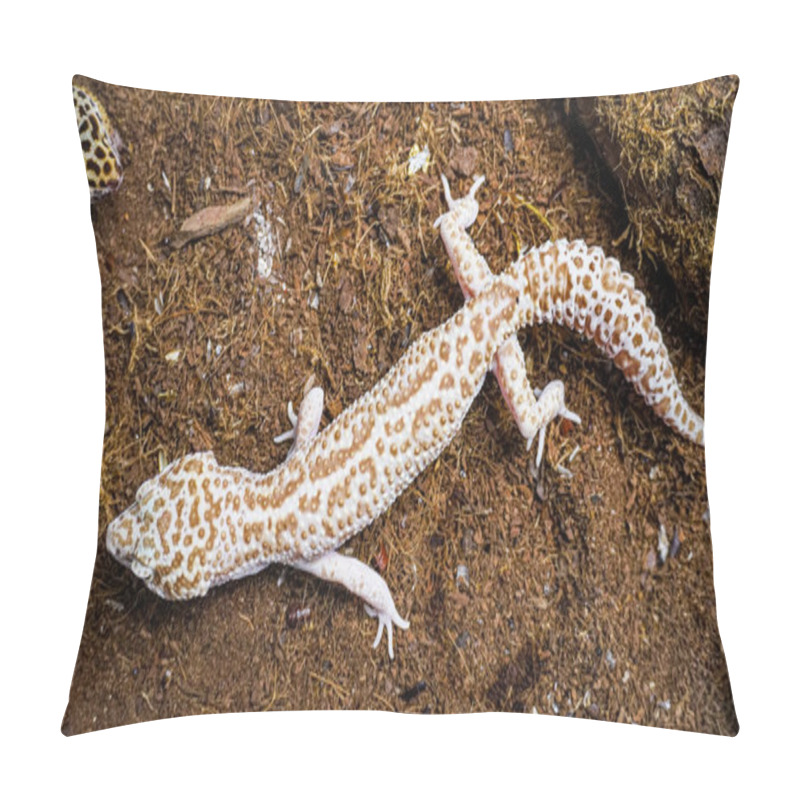 Personality  Close-up Of A Leopard Gecko, A Popular Exotic Pet With Vibrant, Spotted Skin, Scales, And Unique Colors. This Nocturnal Reptile Thrives In Desert Habitats, Showcasing Natural Camouflage And Predator Instincts. Pillow Covers