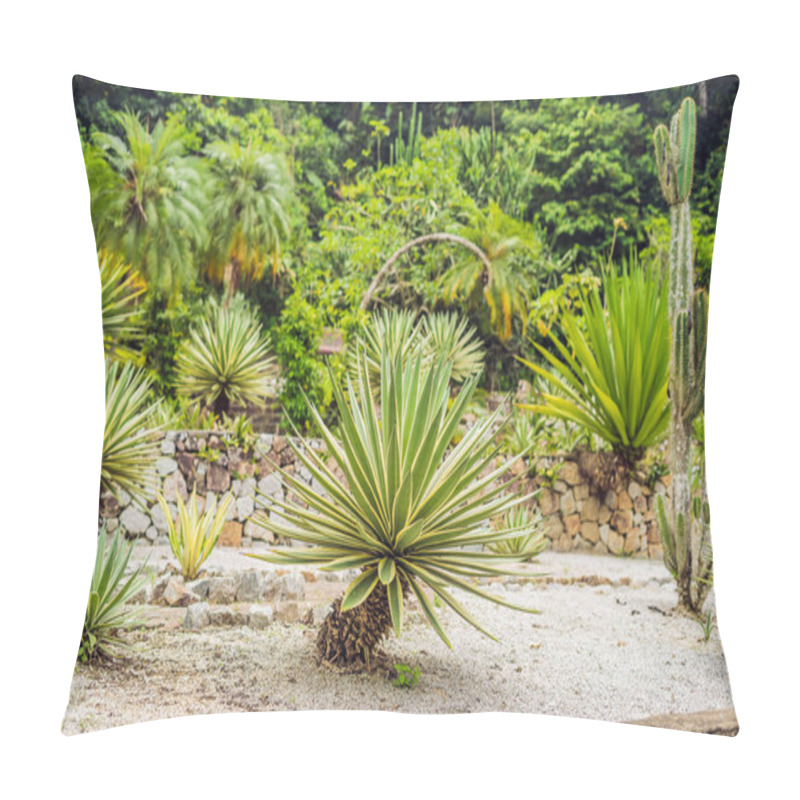 Personality  Park Of Cactus And Succulent Plants. Close Up Of Small Spotted Cactus Succulent For Flower Shop As Green Pattern. Arrangement Succulent Or Cactus Landscape Design. Pillow Covers