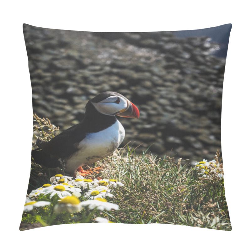 Personality  Puffin Pillow Covers