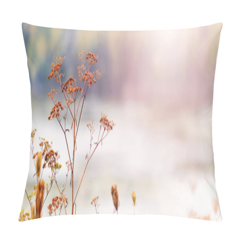 Personality  Autumn View With Dry Plants Near The River, Late Autumn Pillow Covers