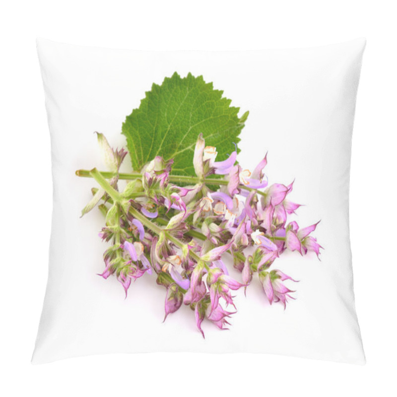 Personality  Salvia Sclarea, Clary, Or Clary Sage Pillow Covers