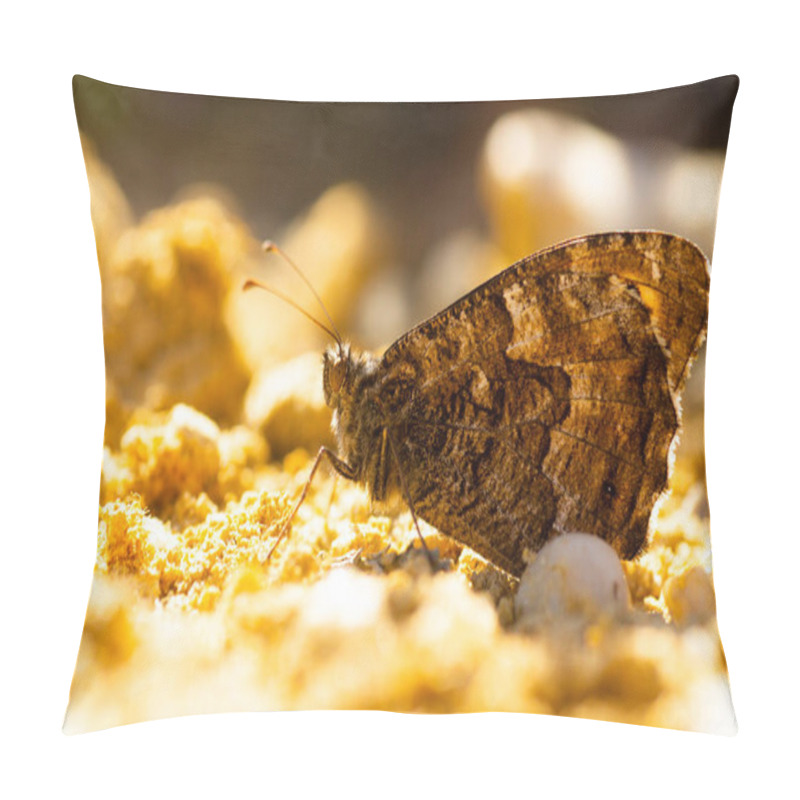 Personality  A Macro Shot Of A Hipparchia Butterfly Pillow Covers